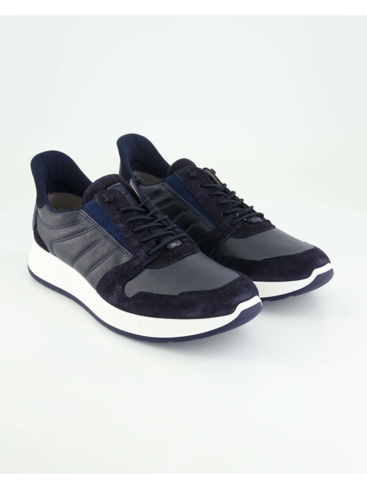 

Кроссовки на шнуровке Ara Shoes, синий