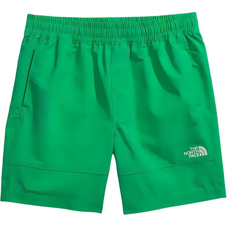 

TNF EASY повседневные шорты мужские оптический изумруд The North Face, цвет Optical emerald