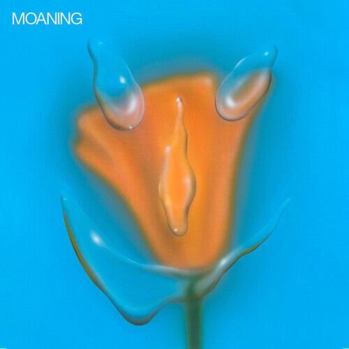 

CD диск Moaning: Uneasy Laughter