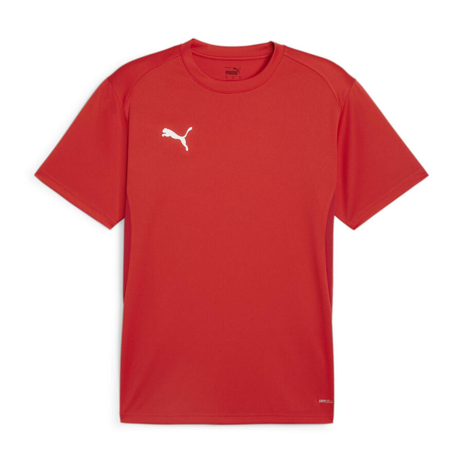

Мужская футболка Puma teamGOAL jersey 658636