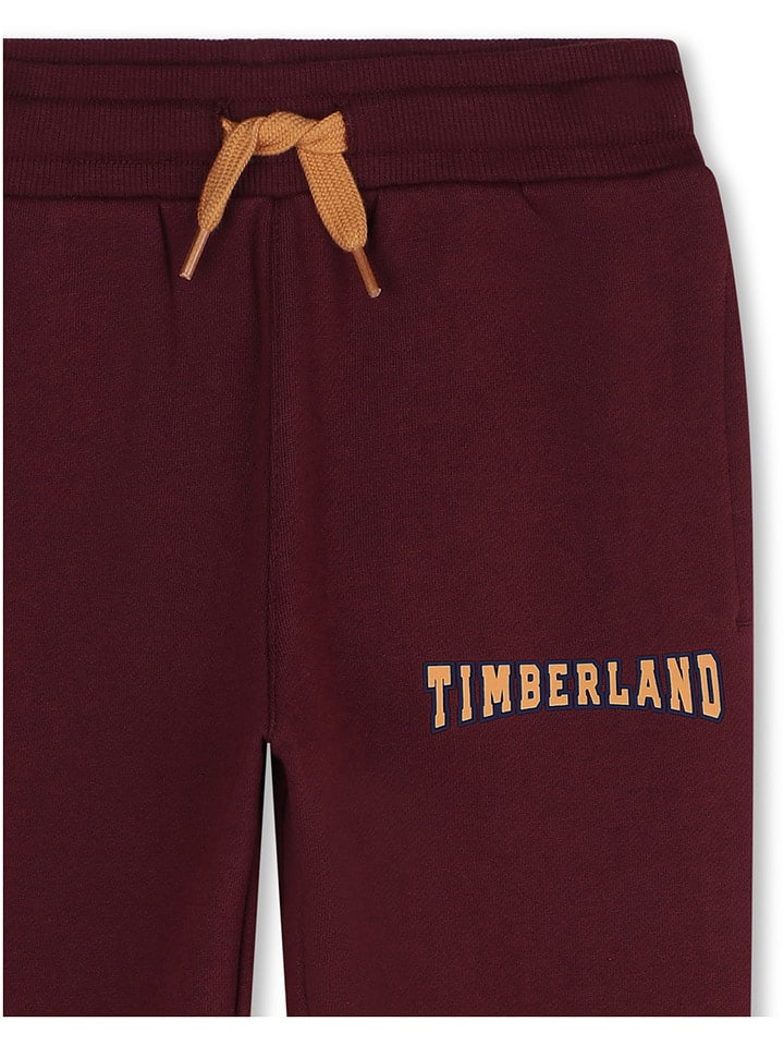 Timberland Спортивные штаны в Бордо — фото 3