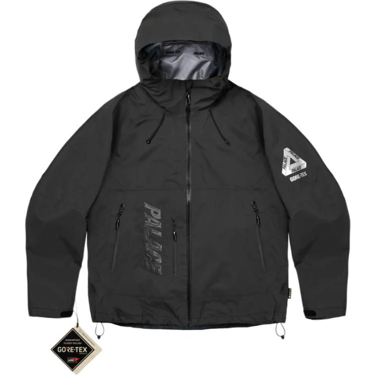 

Куртка GORE-TEX 3L Tek Palace, черный
