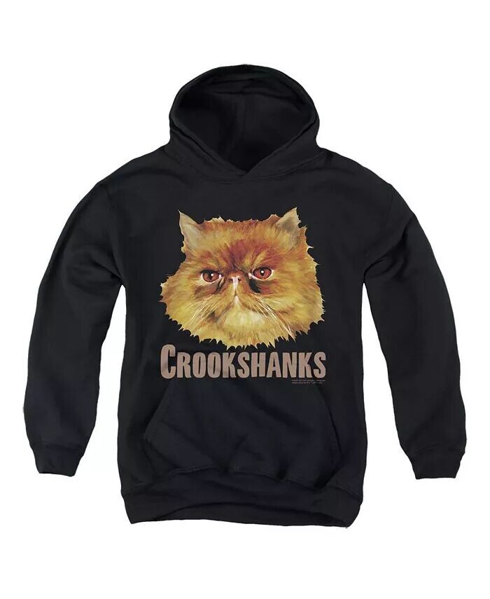 

Толстовка с капюшоном Crookshanks Color Pull Over Hoodie / Толстовка с капюшоном для мальчиков Harry Potter, черный