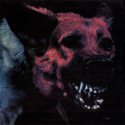 

Виниловая пластинка Protomartyr: Under Color of Official Right