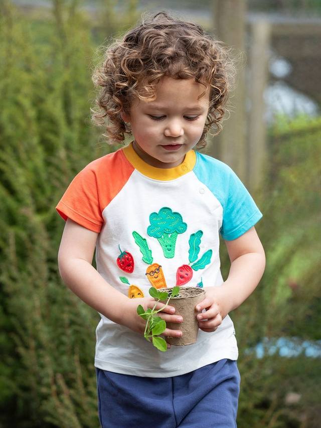 Детская футболка Rafe Organic Cotton Vegetable Pals с рукавом реглан Frugi, Multi — фото 2
