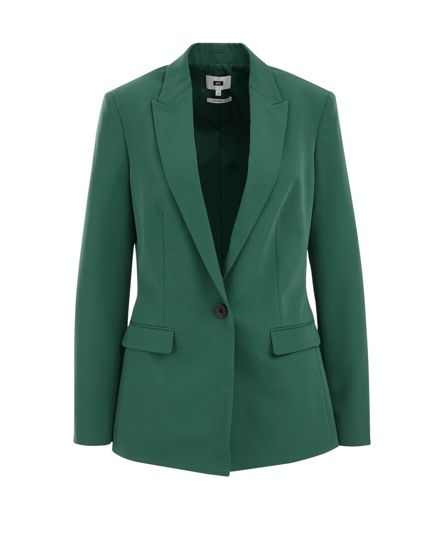 

Блейзер WE Fashion Blazer Marly, зеленый