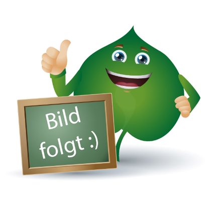 

RÖWO Flexi Forte Gel Тюбик 50 мл Ferdinand Eimermacher Gmbh