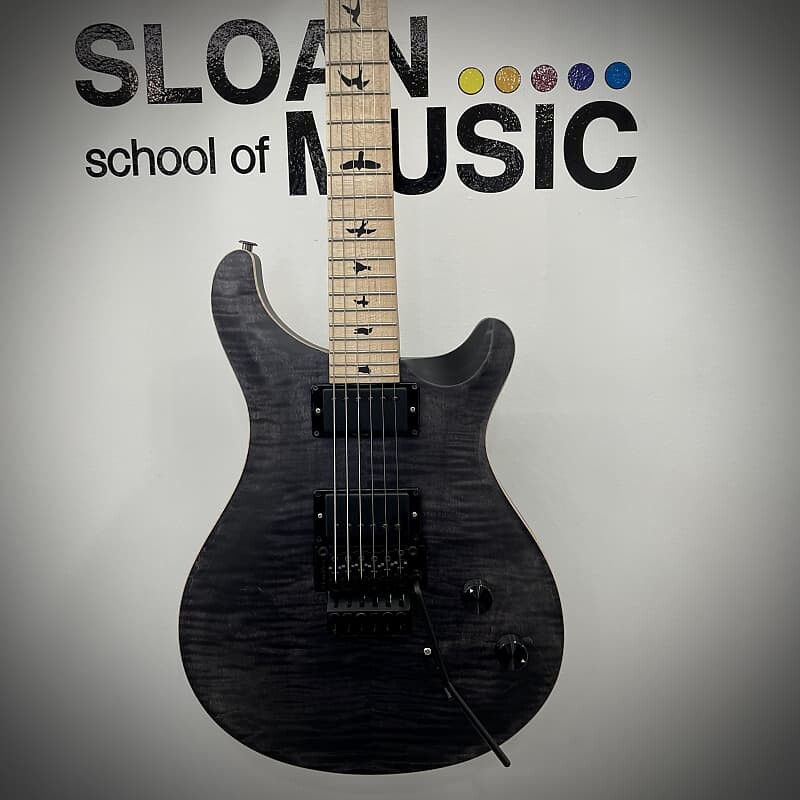 

Электрогитара PRS Dustie Waring CE 24 "Floyd" - Grey Black