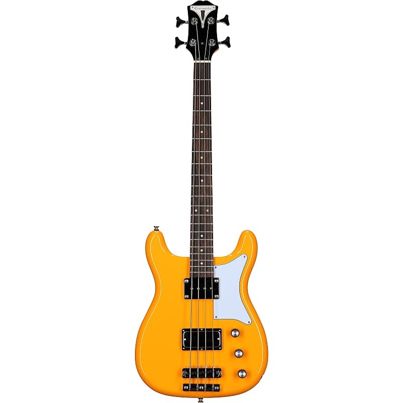 

Басс гитара Epiphone Newport Bass Guitar, California Coral