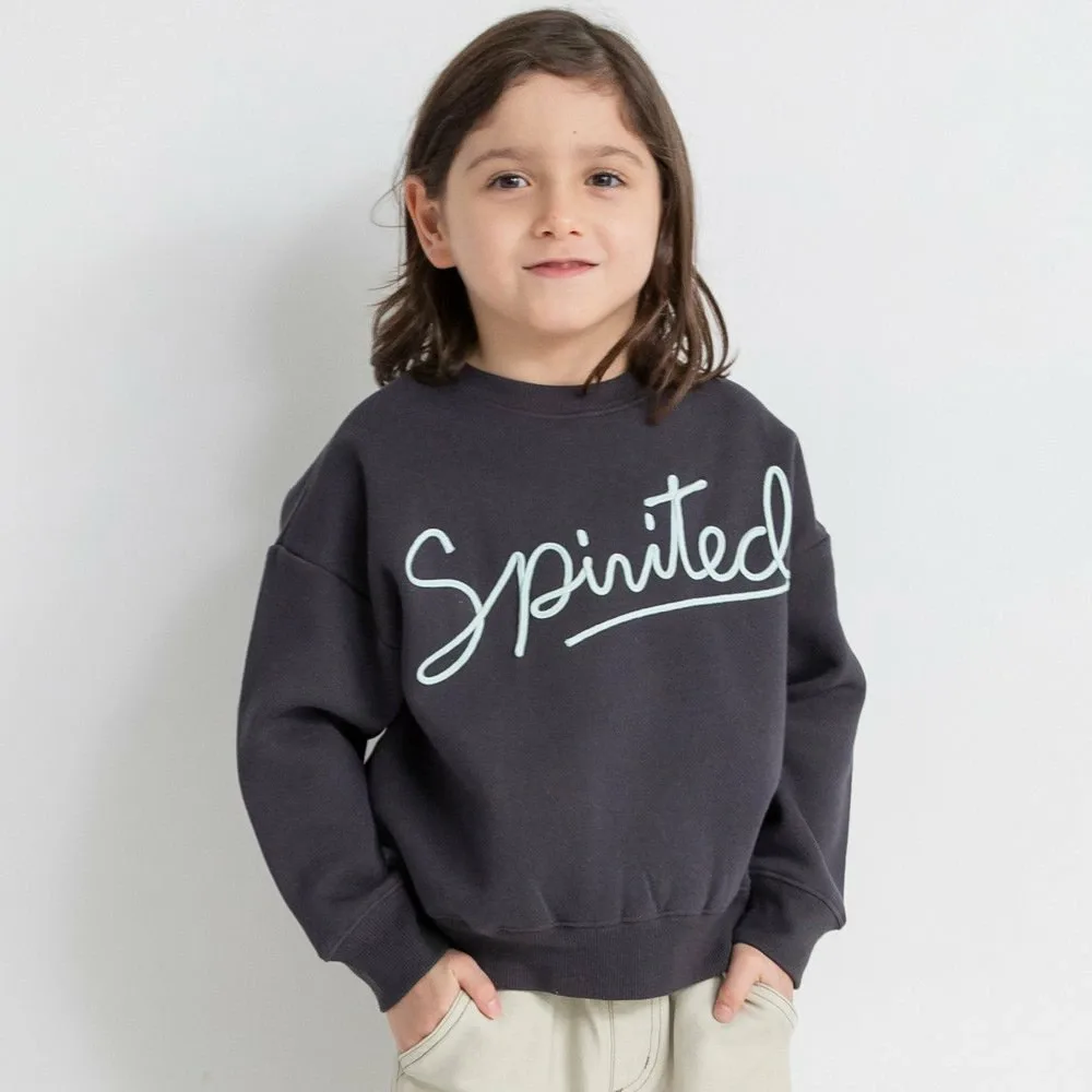 Толстовка с флисовой подкладкой и вышивкой вельветом Branshes, цвет Charcoal Gray — фото 3