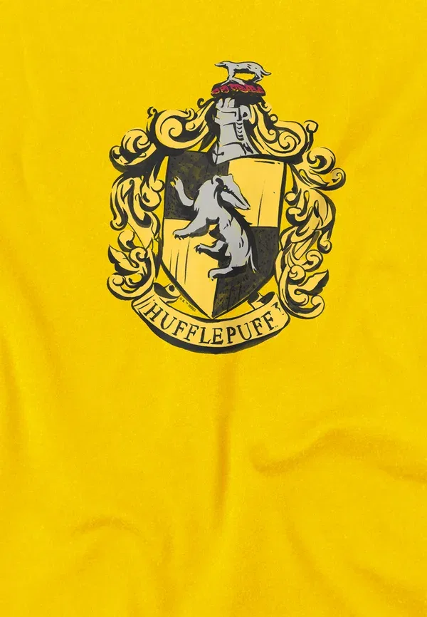 Футболка Harry Potter Drawn Hufflepuff Crest Print T-Shirt Cotton Soul, желтый — фото 3