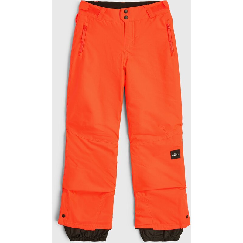 

Штаны для снега fwccruz Oneill, цвет tokyo lights