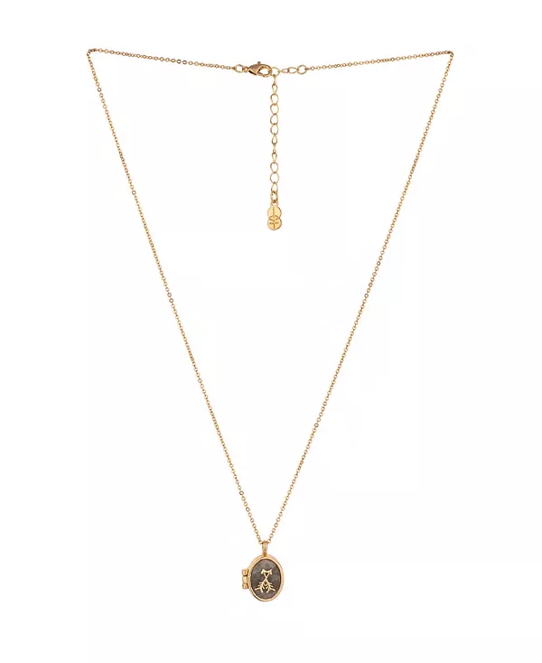 

Ожерелье с каменным медальоном Charged, labradorite