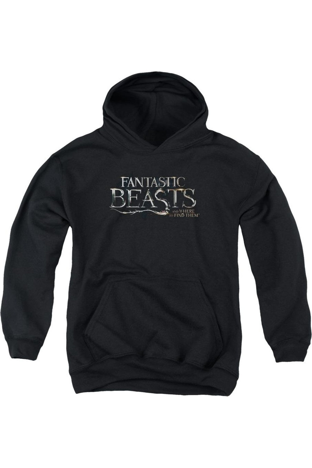 

Молодежная толстовка с капюшоном Fantastic Beasts Logo Gildan, черный