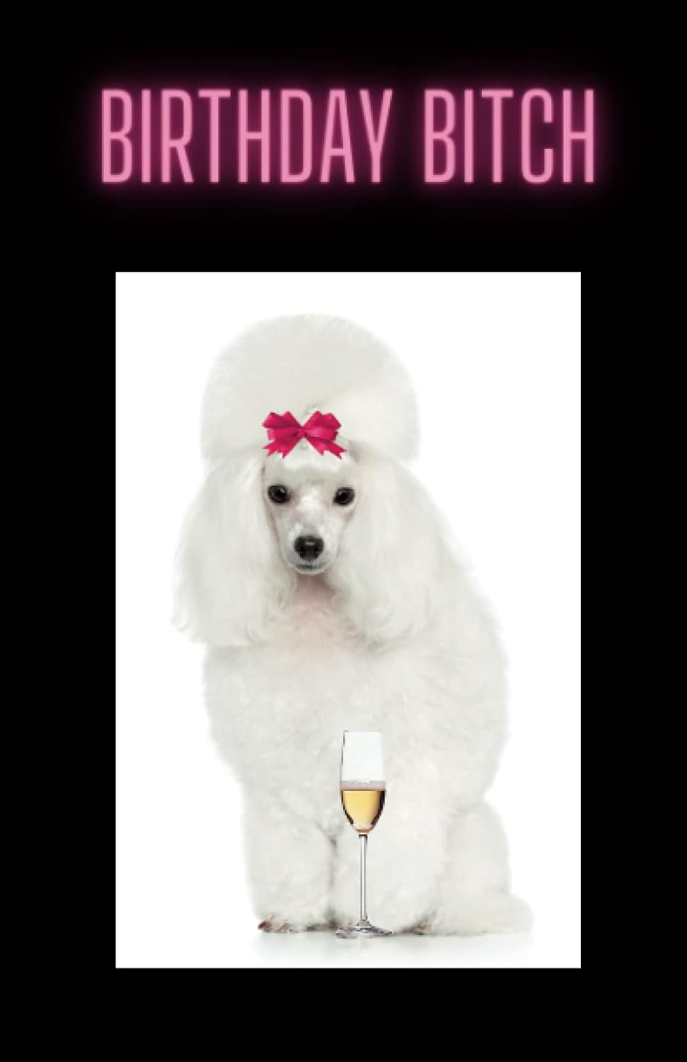 

Birthday Bitch Notebook (Independently published)