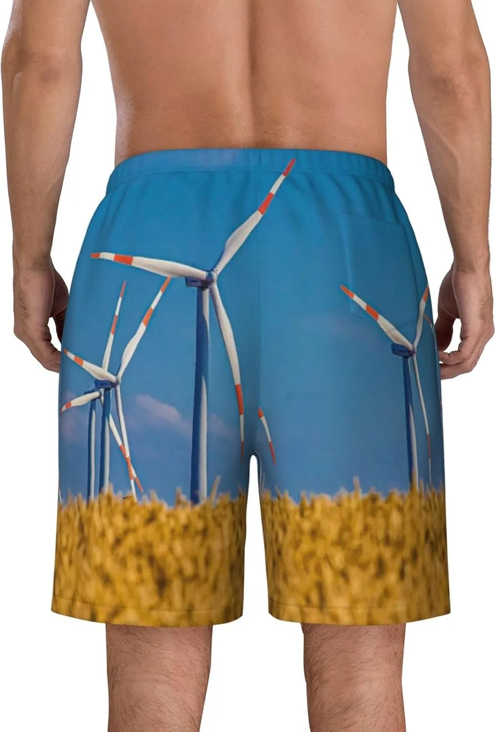 Мужские пляжные шорты Windmill Field Grain, мужские плавки, пляжные шорты с карманами, купальники Generic, черный — фото 4