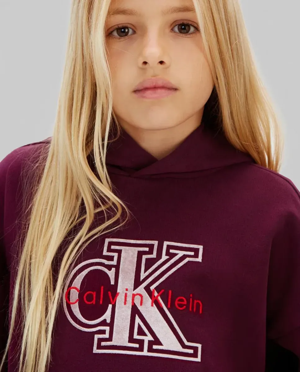 Детская толстовка с капюшоном Calvin Klein, фиолетовый — фото 4
