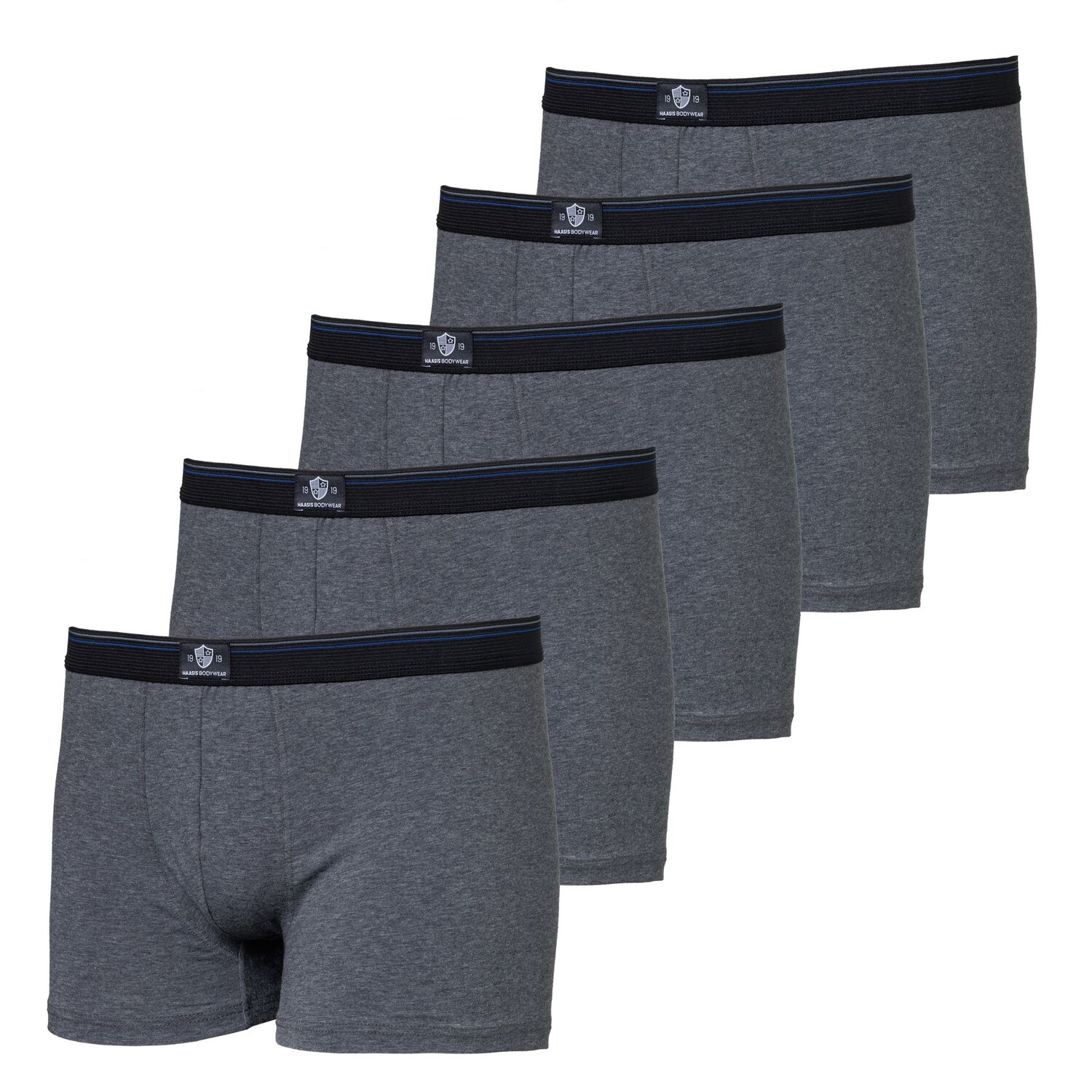 

Боксеры Haasis Bodywear 5er-Set: Pants, цвет Carbon