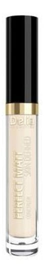 

Консилер для лица 03, кремовый, 3 г Delia Cosmetics Skin Defined Perfect Matt