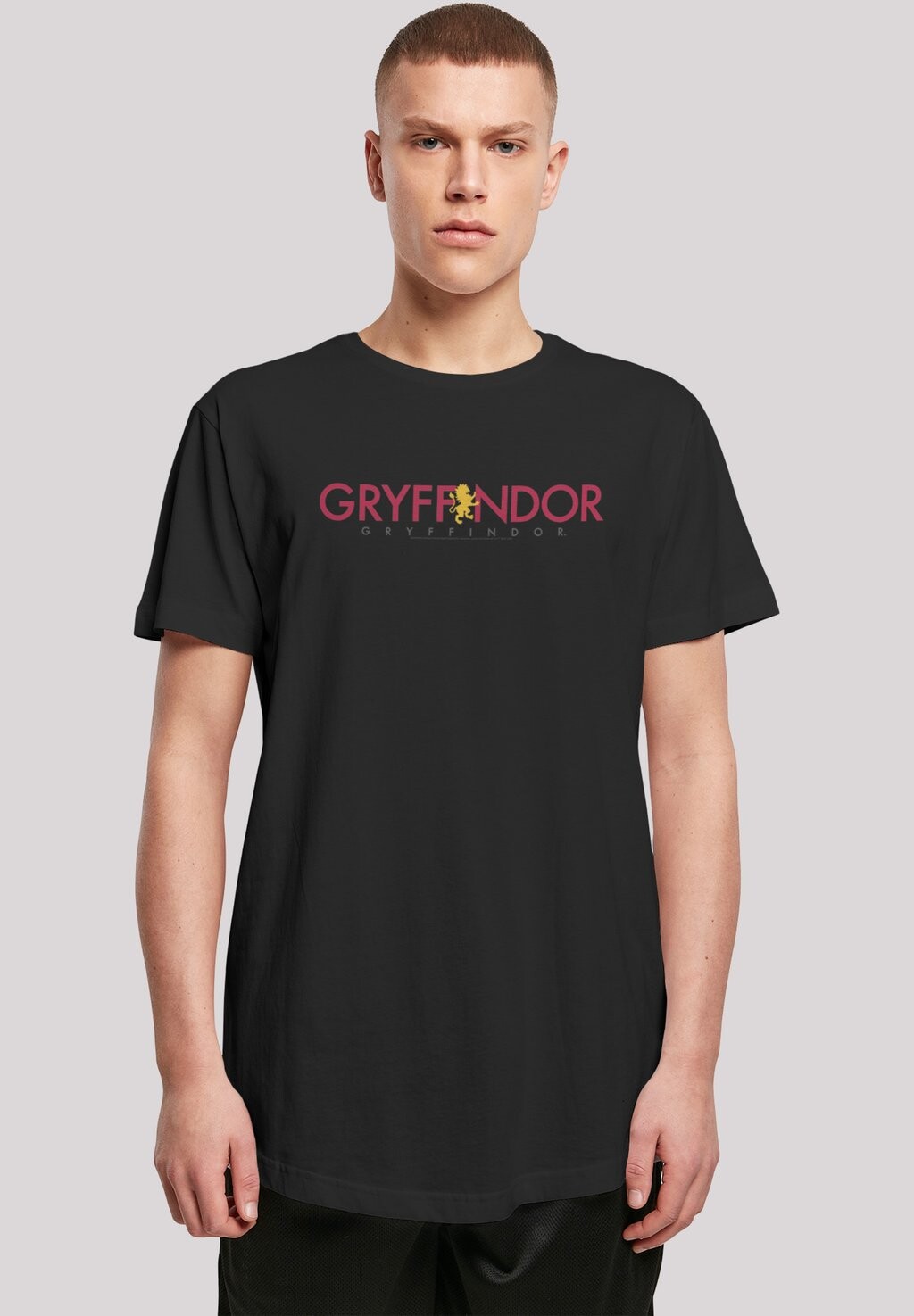 

Футболка с принтом HARRY POTTER GRYFFINDOR TEXT F4NT4STIC, черный
