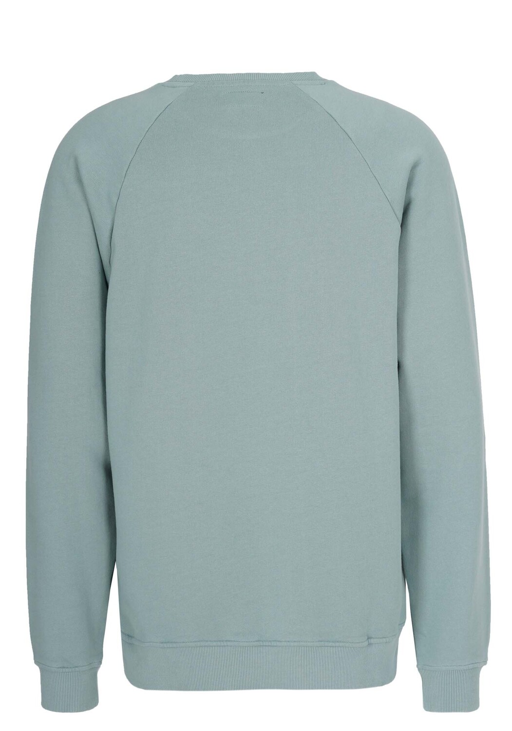 Толстовка HONESTY RULES Sweatwear Raglan Signature, цвет chinois green — фото 3
