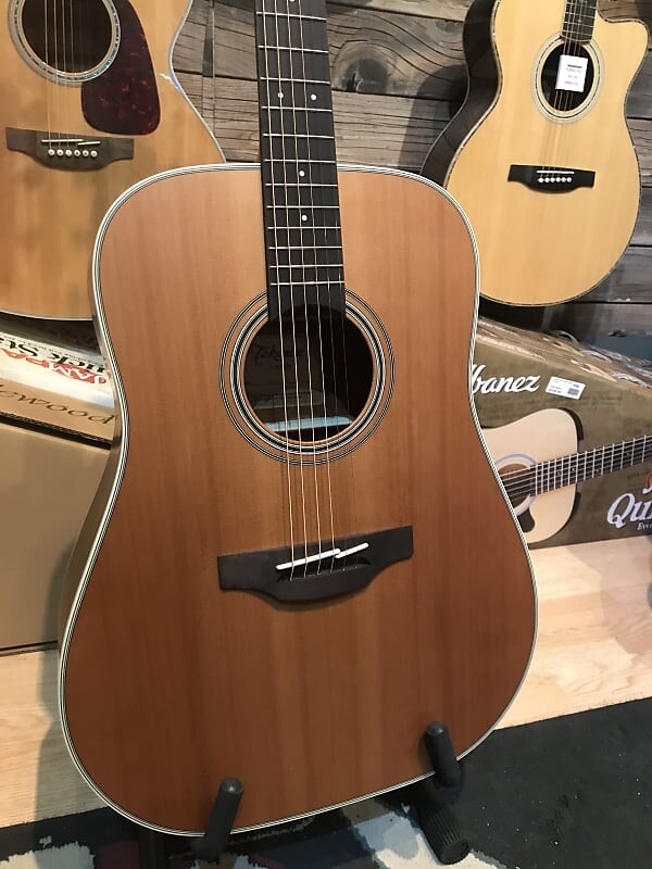 

Акустическая гитара Takamine GD20-NS