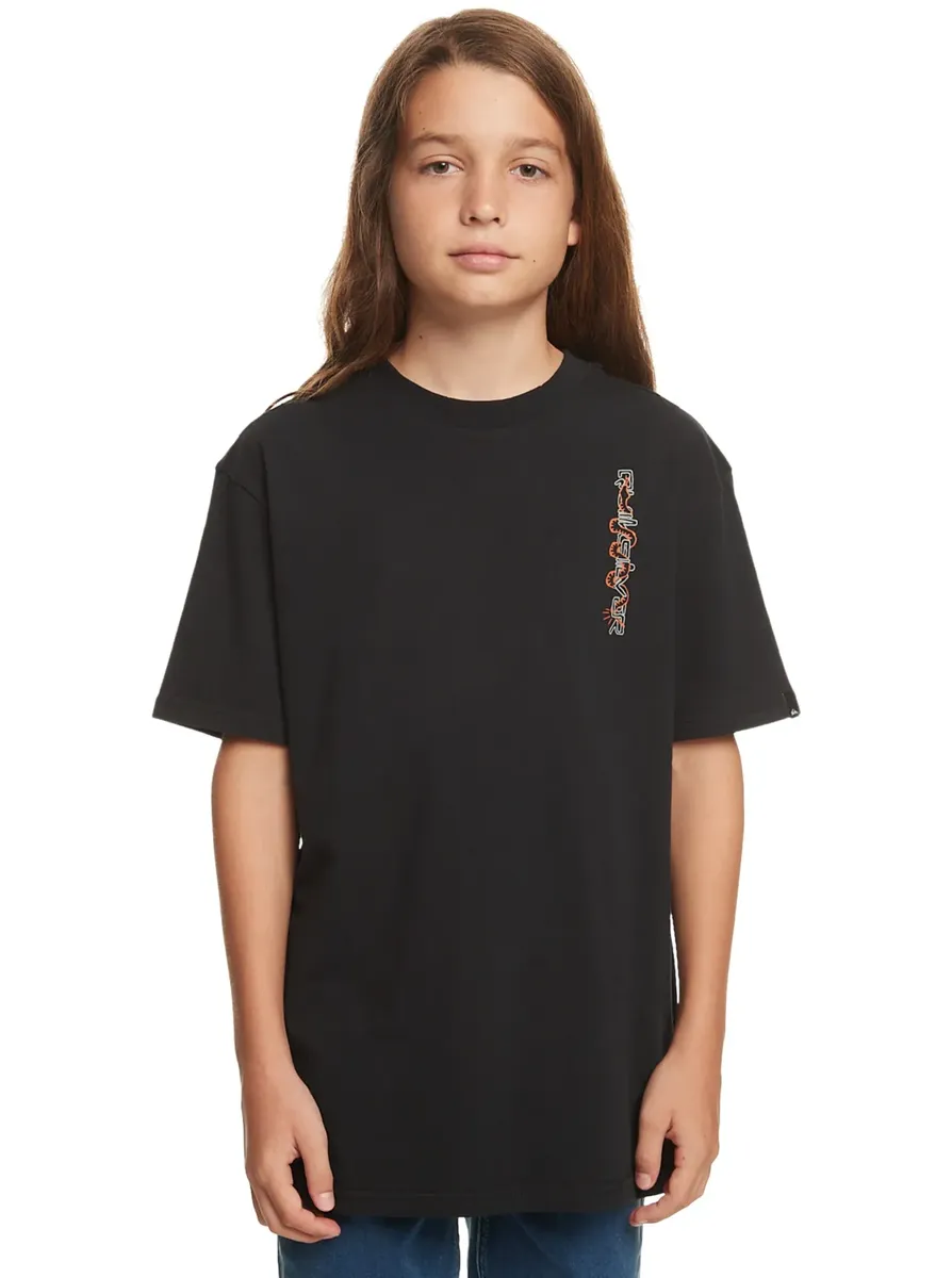 

Футболка Quiksilver "Омни Змей", черный