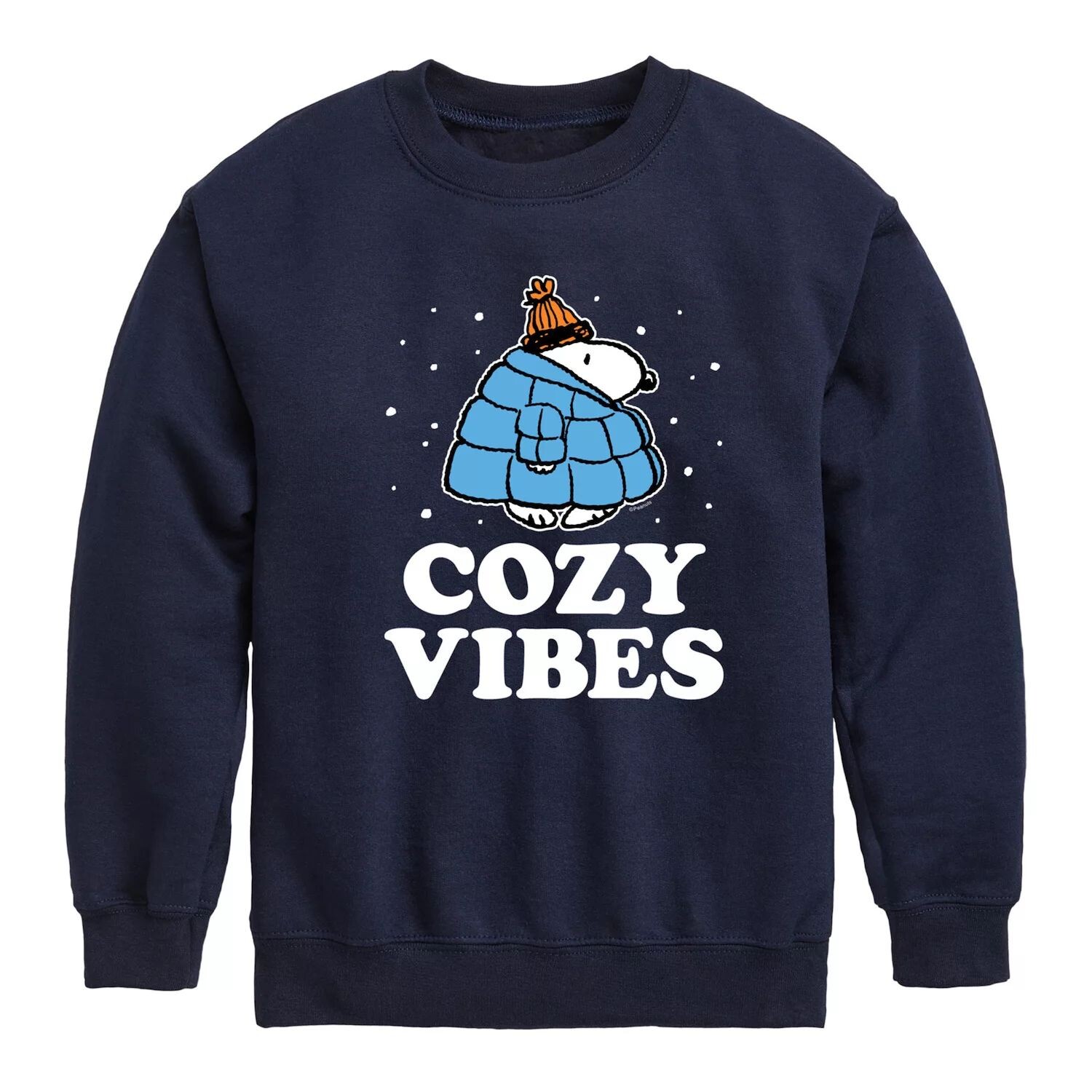 

Флис для мальчиков 8–20 лет Peanuts Cozy Vibes Snoopy Licensed Character, синий