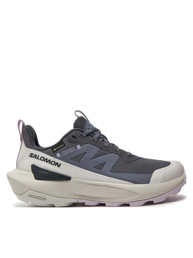 

Кроссовки Salomon Elixir Activ Gore-Tex L47526500 Gris, серый