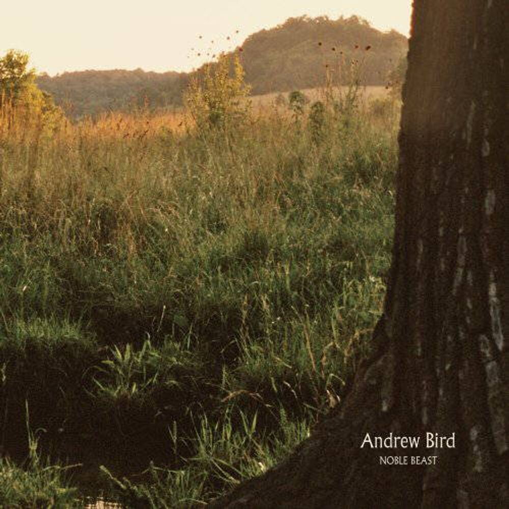 

Виниловая пластинка LP Noble Beast - Andrew Bird