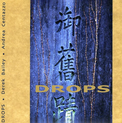 

CD диск Bailey, Derek / Centazzo, Andrea: Drops