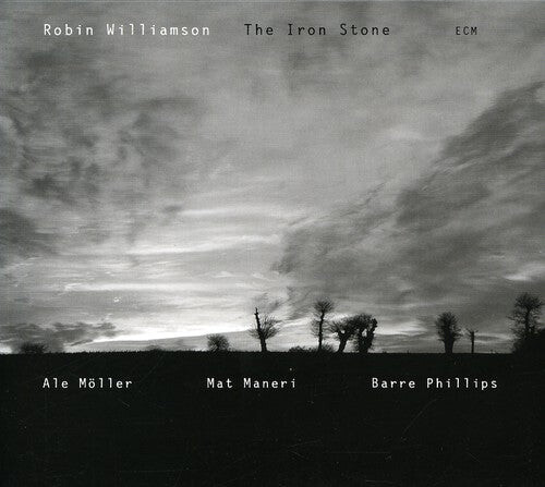 

CD диск Williamson, Robin: Iron Stone