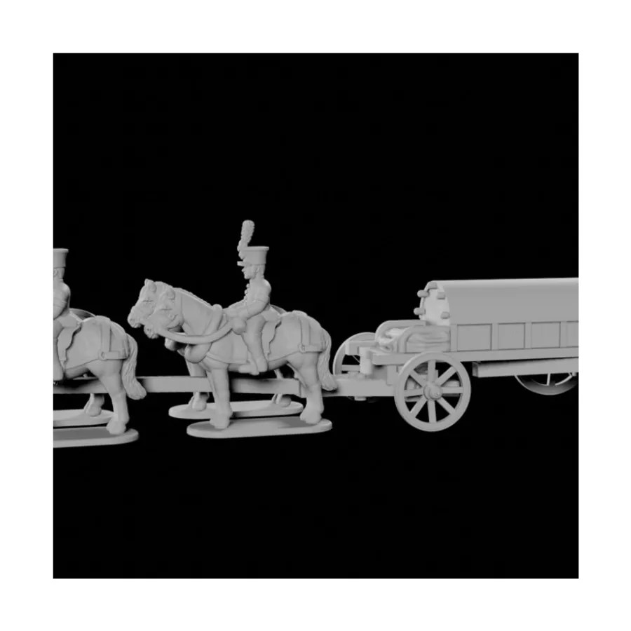 

Австрийский кессон и поезд в Шако, ESR Napoleonics Miniatures - Austria (10mm)