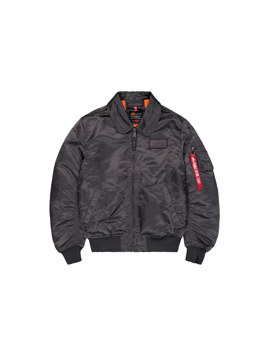

Куртка межсезонная ALPHA INDUSTRIES Flying Tigers, темно-серый