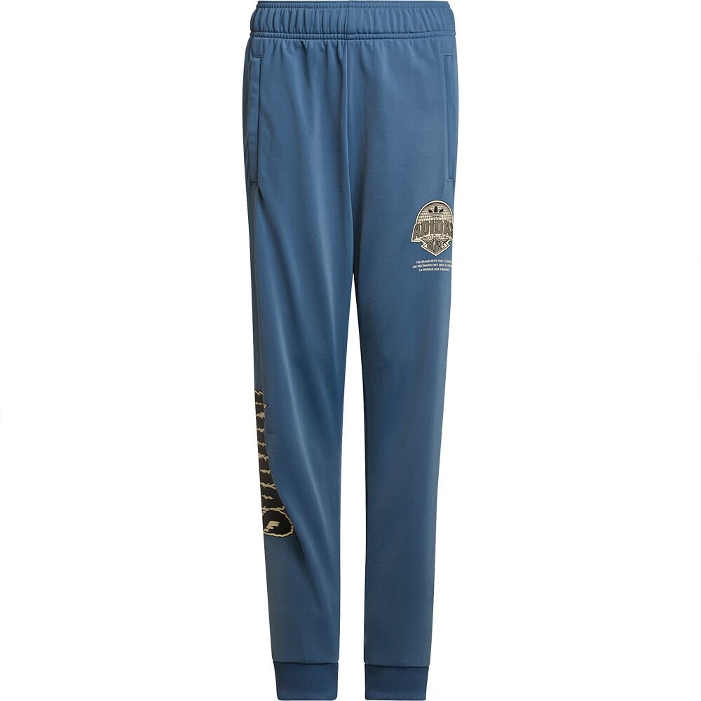

Брюки adidas Originals Graphic, синий