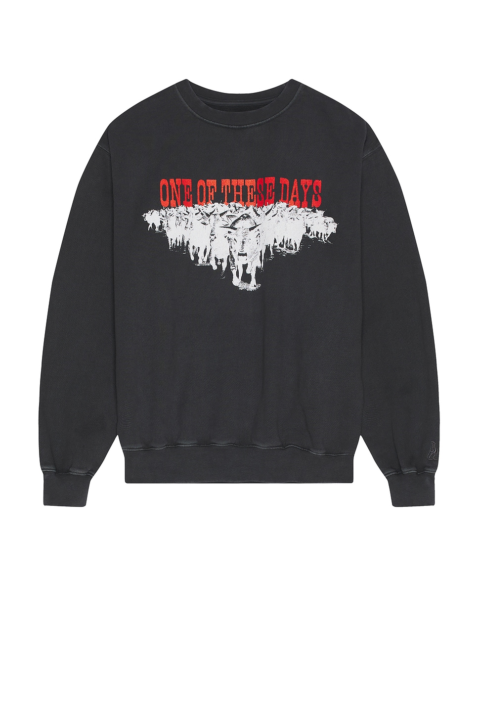 

Толстовка с круглым вырезом Stampede One Of These Days, washed black