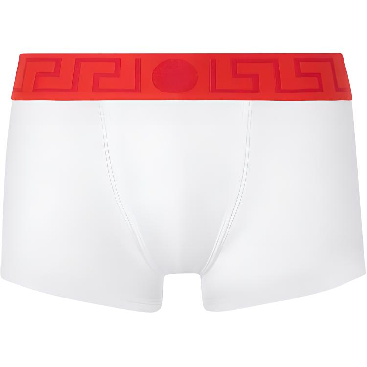 

Боксеры Greca Border VERSACE, белый