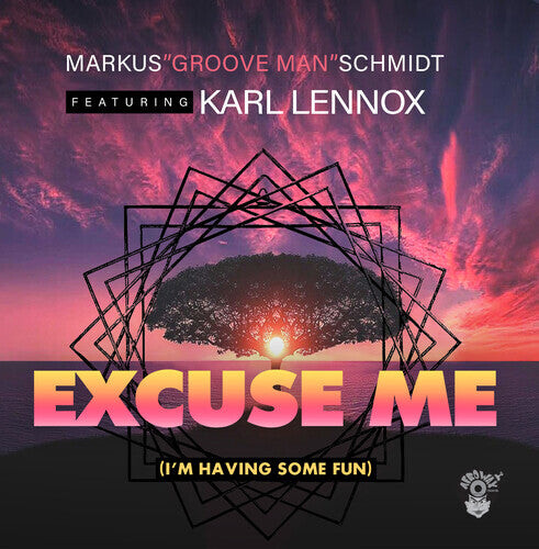 

CD диск Schmidt, Markus / Lennox, Karl: Excuse Me (I'm Having Some Fun)