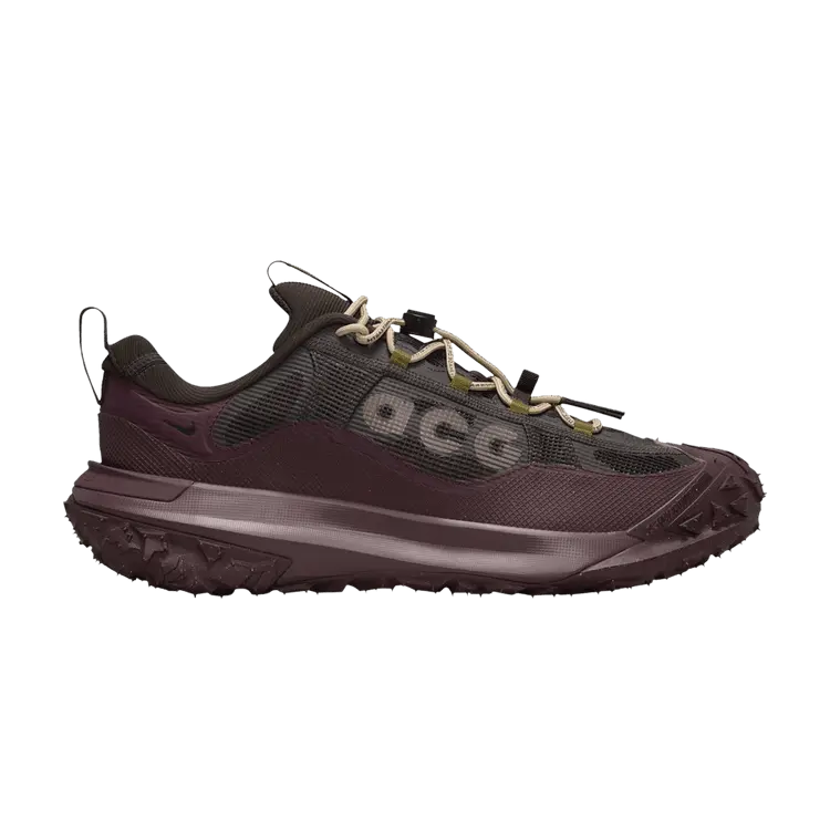 

Кроссовки Nike ACG Mountain Fly 2 Low GORE-TEX 'Velvet Brown', фиолетовый