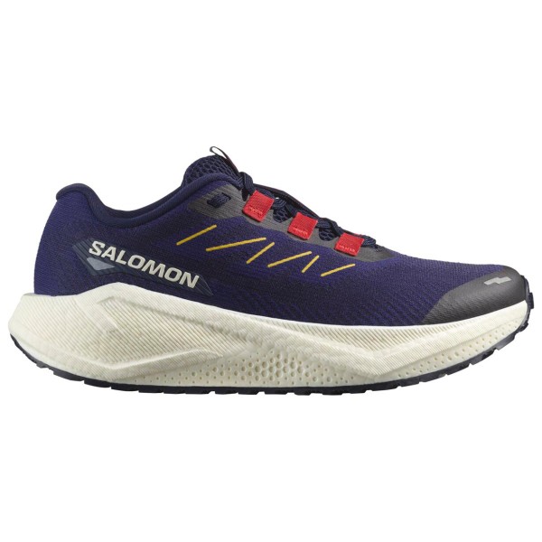 

Женские кроссовки Aero Blaze 3 Grvl Salomon, мультиколор