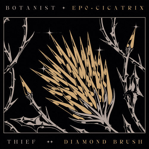 

CD диск Botanist / Thief: Cicatrix / Diamond Brush