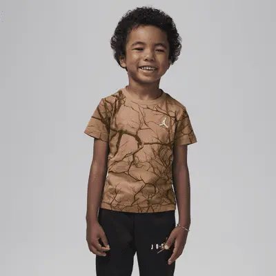 

Футболка Jordan Toddler Family Tree Printed T-Shirt, цвет Archaeo Brown