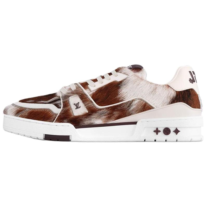 

LOUIS VUITTON Кроссовки для скейтбординга Trainer Low Top, мужские, коричневые