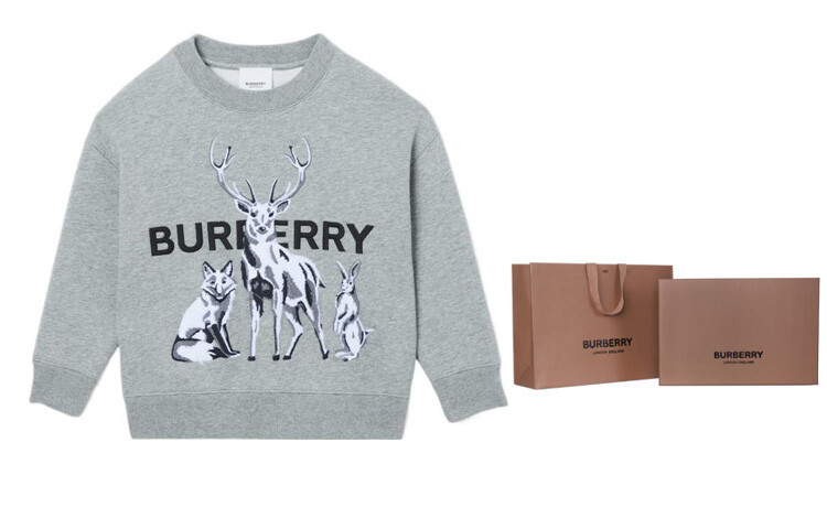 Детская толстовка Burberry, цвет Gray and Exclusive Gift Box (Including Original Bag and Box) — фото 3