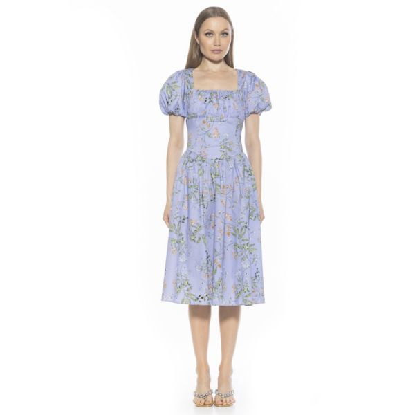 

Женское платье миди Jessi с заниженной талией Alexia Admor, цвет blue floral