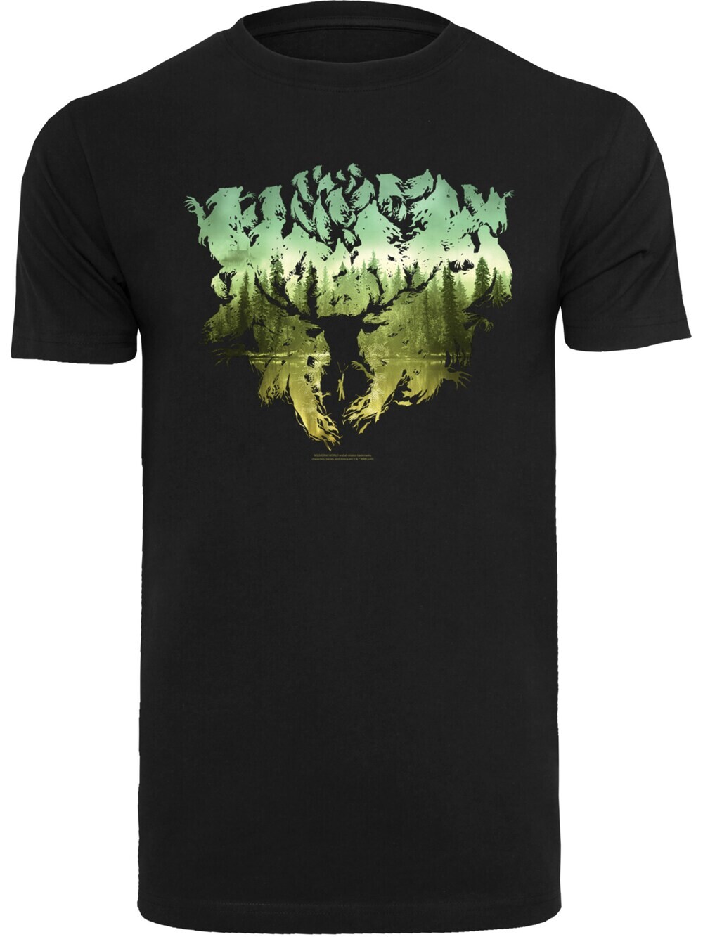

Футболка F4Nt4Stic Harry Potter Magical Forest, черный