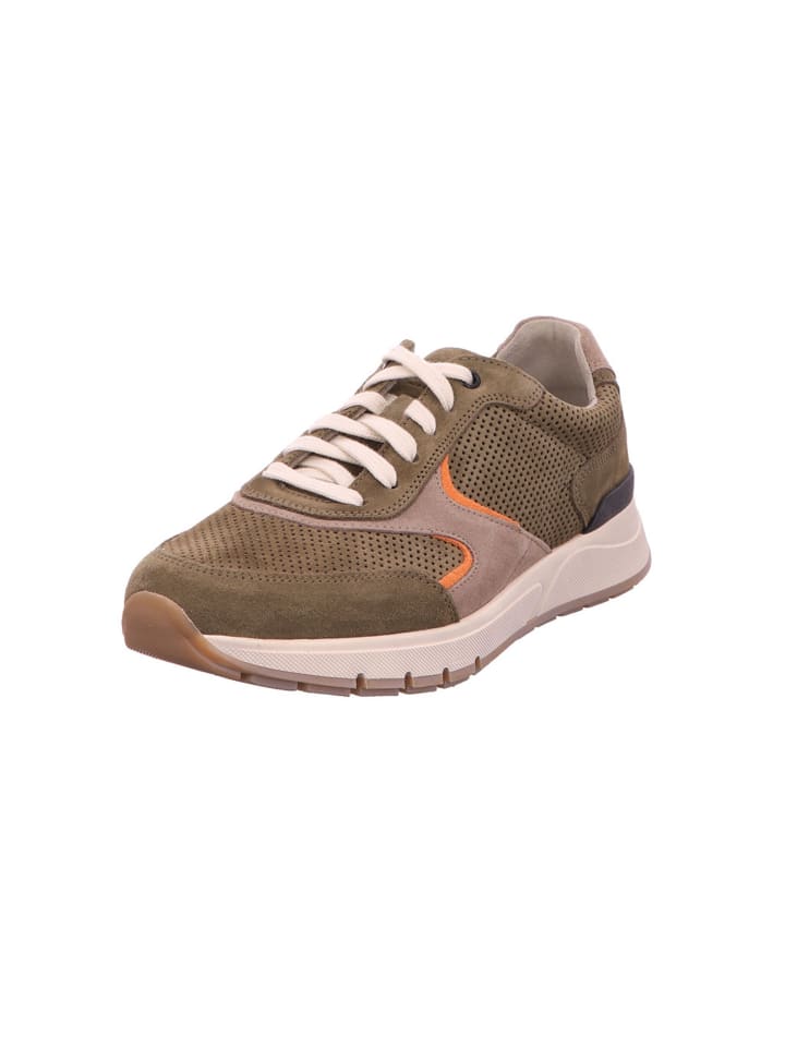 

Кроссовки на шнуровке Pius Gabor, цвет khaki/light brown/orange
