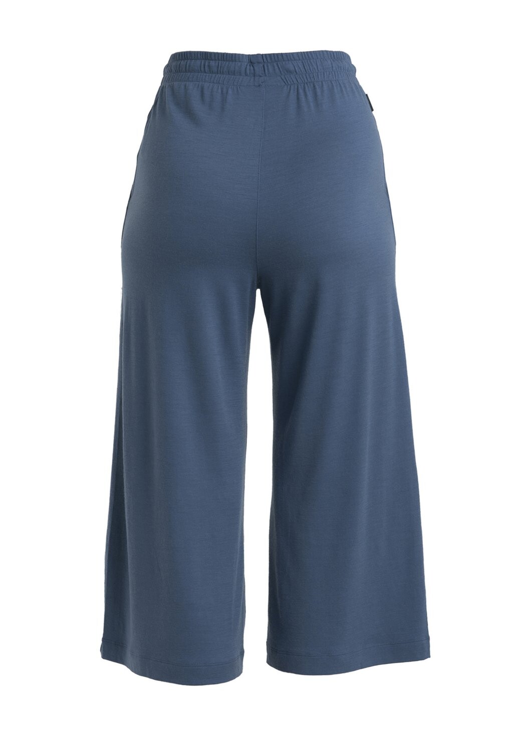 

Спортивные штаны MERINO DESCENDER ZIP Icebreaker, светло-голубой