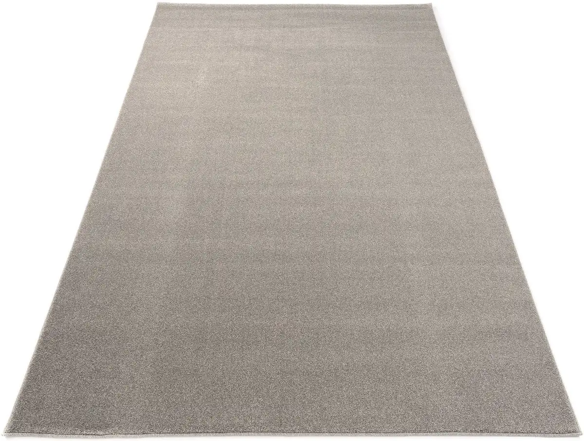 

OCI THE CARPET BRAND "Louvre Melange" ковер, прямоугольный, для гостиной OCI Die Teppichmarke 65х130 см, серый