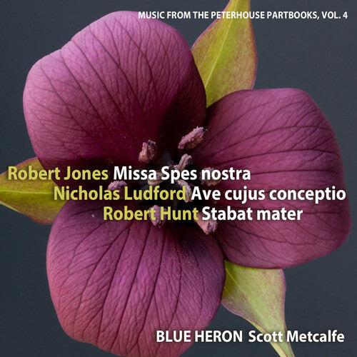 

CD диск Jones / Blue Heron / Metcalfe: Music from the Peterhouse Partbooks 4